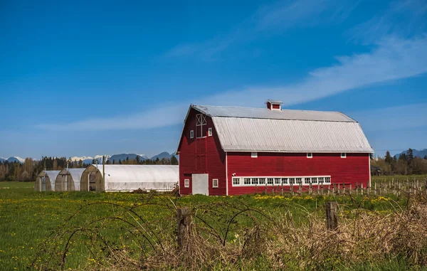 stock image Agriculture Landscape With Old Red Barn and blue sky. Countryside landscape. Farm, red barn. Rural scenery, farmland in Canada. Travel photo, nobody, copyspace for text