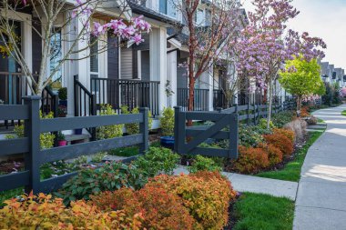 Mükemmel bir mahalle. Kuzey Amerika 'nın Baharı' ndaki banliyöde evler. Gayrimenkul Dış Cephe Evleri. Bahçesi güzel döşenmiş büyük gümrük evleri. Çatı kiremitleri evin üstünde.