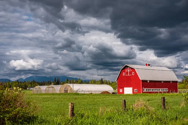 stock image Agriculture Landscape With Old Red Barn in overcast day. Countryside landscape. Farm, red barn. Rural scenery, farmland in Canada