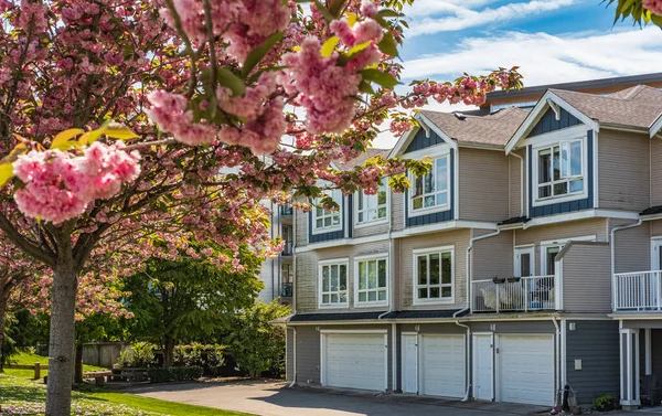 Güneşli bir günde güzel bir mahalle. Kasaba evleri için park yerindeki garaj kapılarında sıra var. Beton garaj yolu, garaj kapısı ve penceresi olan evin dışı. Garaj kapısı, kısa yol.