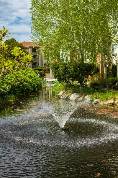 Magical garden pond in the green city park. Beautiful cascading fountain in pond. Atmosphere of relaxation and rest. Garden pond with floating fountain in a summer. Nobody, selective focus