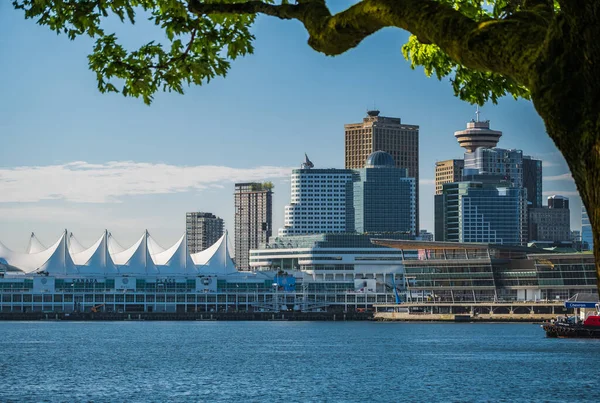 Waterfront Canada Place Vancouver Canada Canada Place Commercial Buildings Downtown Stock Image