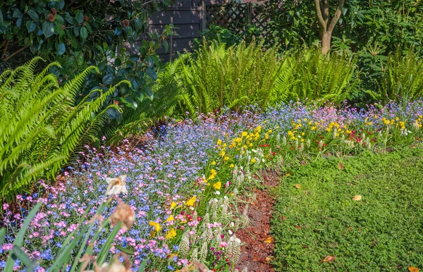 Colorate Aiuole Green Grass Pathway Attraente Giardino Inglese Formale Rigoglioso — Foto Stock