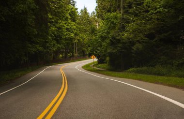 Kuzey Amerika 'nın kırsal kesiminde. Ormanın ortasında işaretli bir yol. Gelecekteki amaçlar ve zaman geçirmek için başarı kavramı. Metin için kopyalama alanı, hiç kimse