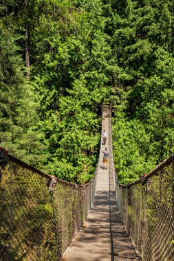 Turistler, Vancouver 'daki Lynn Canyon parkında asma köprüde yürüyen yürüyüşçüler... Kanyonun dibinden 50 metre yükseklikte. Asma köprülerden biri ücretsiz giriş mi?