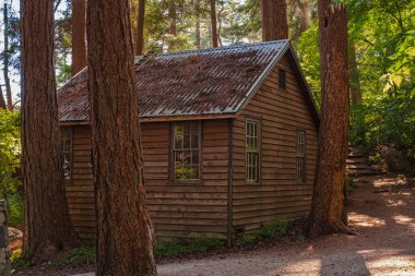 Ormandaki eski ahşap ev. Ormanda ağaçtan yapılmış bir ev. Ahşap kulübe. Seyahat fotoğrafı, kimse yok.