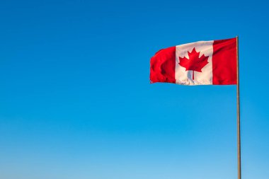 Mavi gökyüzünde dalgalanan Kanada bayrağı. Yazın mavi gökyüzünde dalgalanan Kanada bayrağı. Kanada bayrağı rüzgarda dalgalanıyor, filtresiz ve doğal ışıklandırma. Kuzey Amerika, Kanada. Metin için kopyalama alanı, hiç kimse