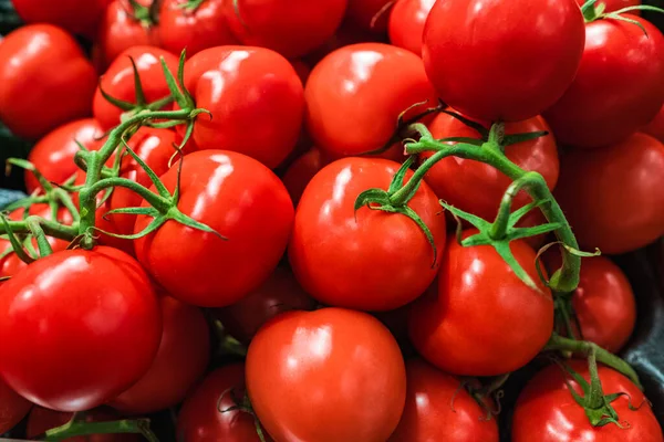 Üst üste yığılmış domatesler, domates dokusu. Seçici odaklanma, bulanık. Piyasadaki karton kutunun üzerine yerleştirilmiş lezzetli kırmızı domateslerin üst görüntüsü.