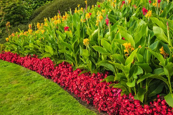 View of a beautiful garden with grass lawn and flowers in bloom. Lush landscaped garden with colourful flowerbeds in a summer. Attractive English Formal Garden. Multicolored flowerbed on a lawn