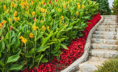 Etrafı güzel çiçeklerle çevrili eğimli taş merdivenler. Bir yaz bahçesindeki merdiven. Halk parkında çiçek ve bitkilerle dolu bir merdiven. Çiçekli taş yol. Güzel bahçe geçidi