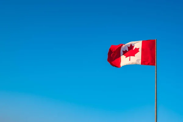 Flag of Canada flying against a blue sky. Canadian flag flying at summer blue sky. Canadian flag waving on the wind, unfiltered and natural lighting. North America, Canada. Copyspace for text, nobody