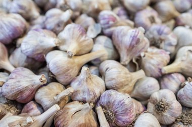 Sarımsak yığını. Pazar masasında taze toplanmış sarımsak. Yakın plan fotoğraf. Vitamin sağlıklı yiyecek baharatı görüntüsü. Sarımsak kafalar. Üst Manzara. Büyük bir yığın pembe sarımsak soğanı.