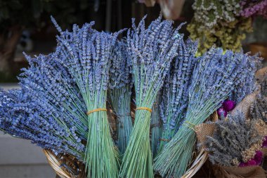 Lavandula angustifolia bir demet kuru çiçek halatla bağlanmış, sadelik hala hayat. Bir grup güzel kokulu bitki.