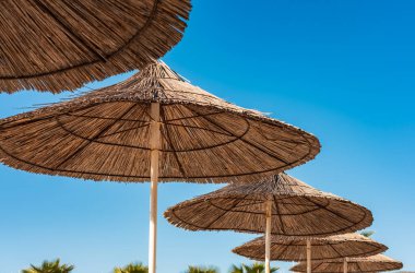 Reed Sahili Şemsiyeleri. Kumlu bir sahilde sıra sıra plaj şemsiyeleri. Saman şemsiyeler, palmiye ağaçları. Hiç kimse, metin için boşluk kopyala, seyahat fotoğrafı