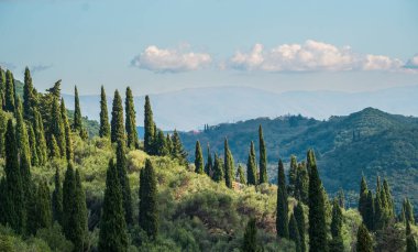 .Akdeniz tipik manzarası. Dağlık tarım tepeleri ve tarlalar. Yunanistan. Orman kaplı dağlar ve villalar