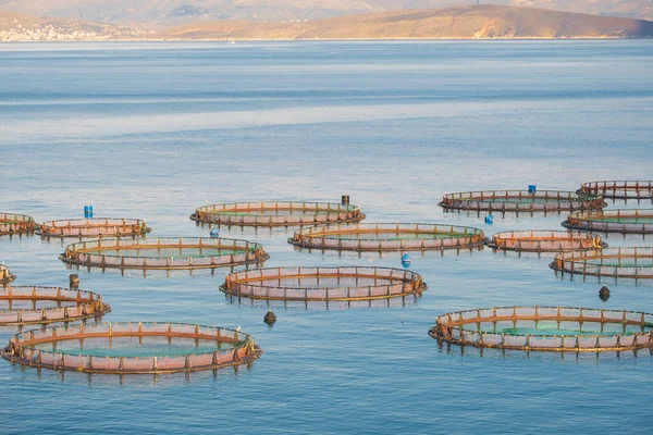 View of sea fish farm cages and fishing nets, farming dorado, sea bream and sea bass, process of feeding the fish a forage. Ionian sea, Greece. Commercial breeding of fish,