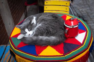 İstanbul 'daki restoranın terasında renkli masada uyuyan sevimli kedi. Sokak kedisi. Şirin kedi masanın üzerinde yatıyor. Sokak fotoğrafı, kimse yok.