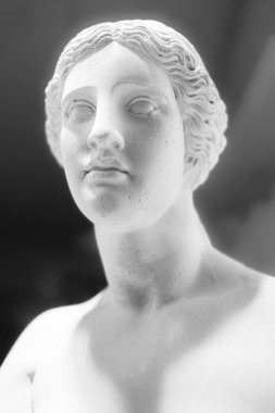 Antik heykeller izole edilir. Eski Yunan mermer klasik heykeli koyu bir arka planda. Sanat, vücut güzelliği, kültür konsepti. Genç bir kadının mermer kafası. Kadın antika heykel başı.