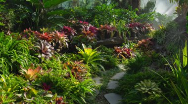Renkli yapraklı bitkilerin farklı türleri olan güzel yeşil bir ev. Botanik Bahçesi. Kapalı Botanik Bahçesi. Tropik bitkiler.