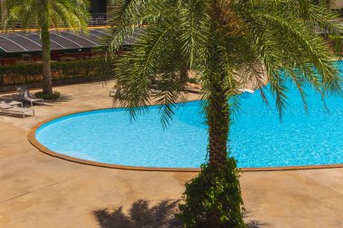 Phuket Tayland. Etrafta palmiye ağaçları olan bir yüzme havuzu. Ağaçlı tropik havuz. Yüzme havuzu için palmiye ağaçları. Palmiyeli su havuzu. Güverte sandalyeleri.
