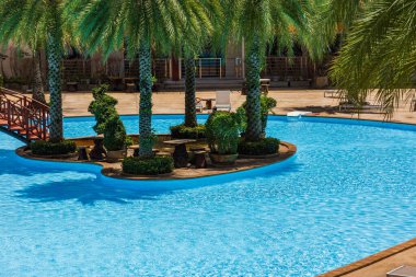 Phuket Tayland. Etrafta palmiye ağaçları olan bir yüzme havuzu. Ağaçlı tropik havuz. Yüzme havuzu için palmiye ağaçları. Palmiyeli su havuzu. Güverte sandalyeleri.