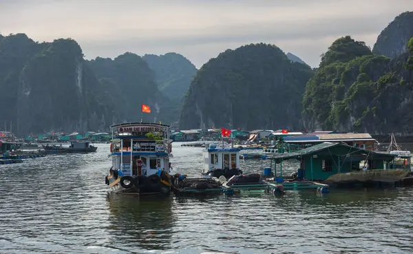 Halong Körfezi Vietnam, Güneydoğu Asya 'daki yüzen balıkçı köyü kaya adası. UNESCO Dünya Mirası. Manzara. Popüler Asya tarihi Vietnam-Haziran 14,2024