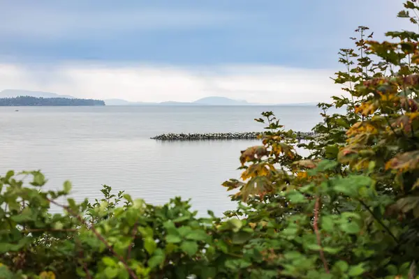 Denizin üzerinde beyaz kaya köprüsü, BC, Kanada. White Rock, South Surrey 'deki eski ahşap asma köprü, seyahat fotoğrafı..
