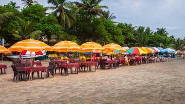 Kuzey Goa 'daki Arambol plajı manzarası. Palmiye ağaçlı Arambol plajı, Hint ve yabancı turistli plaj şemsiyeleri. Nort Goa 'nın popüler turistik merkezi. Seyahat fotoğrafı, uzayı kopyala. 7 Eylül 2024