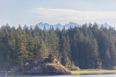 Arka planda yüksek dağlarda güzel çam ağaçları. Kanada mı? Güzel yaz manzarası kozalaklı orman, yeşil çayırlar ve mavi gökyüzü. Çam, ladin. Ekosistem. Doğa. Doğa koruma.