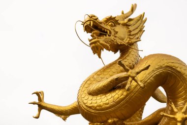 Beyaz arka planda izole edilmiş altın geleneksel Çin ejderhası. Feng Shui heykelciği. Beyaz arka planda altın ejderha. Kimse.,