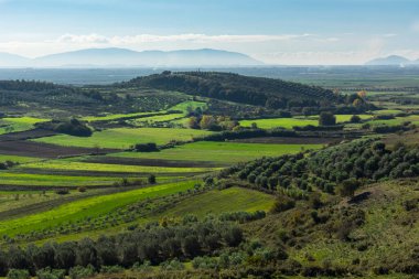 Avrupa 'da zeytin ağaçları ve tarlaları olan yeşil bir vadi. Ağaçları ve dağları olan yeşil doğa. Gezegeni kurtar. Yeşil toprak.