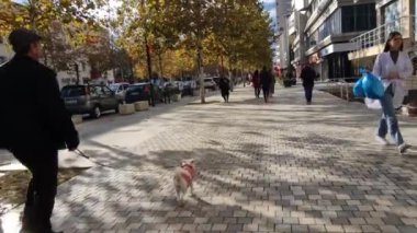 Vlore Arnavutluk 'un ünlü caddesinde yürüyen insanlar. Yerel halk ve turistler Avrupa 'da bir caddede yürüyorlar. Merkez cadde boyunca tanınmayan yayalar yürüyor. Seyahat videosu, editoryal-Aralık 3. 2024