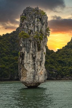 Cat Ba Adası 'ndan güzel Lan Ha Körfezi manzarası. Lan Ha Koyu, UNESCO Dünya Mirası Alanıdır. Kuzey Vietnam 'da çok güzel bir doğa harikasıdır.
