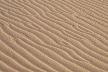 Kum tepeciklerindeki ışık desenleri. Kum dokusu. Arka plan için kumsal. Kumulun dalgalı kumlu yüzeyi. Deniz kıyısındaki bir tatil köyünde dinlenme ve dinlenme. Yakın plan. Mesaj için yer var. Arkaplan.