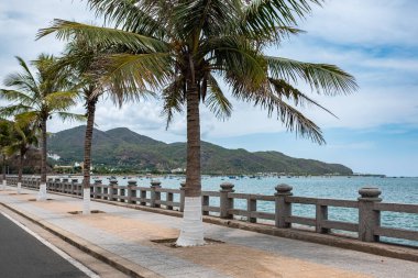 Palmiye ağaçlarıyla deniz kenarında gezinti. Güneşli bir yaz gününde deniz kenarında güzel bir sahil geçidi. Palmiye ağaçlarıyla dolu boş deniz seti. Vietnam sahilindeki yaya yolu..