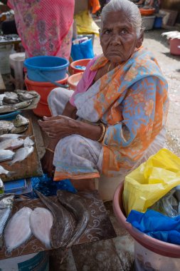 Bir markette sokak balığı tezgahı. Hintli yaşlı kadın balıkçı geleneksel sulak pazarda balık satıyor. Goa Hindistan-Eylül 3.2024 'te yerel bir balık pazarındaki balıkçılara çeşitli balıklar gösteren balık satıcıları