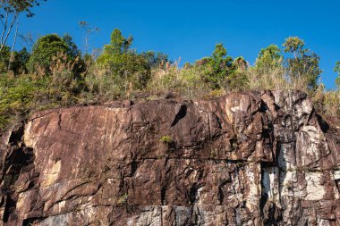 Ağaçlar çorak kayalıklarda yetişir. Rocky cliff. Vietnam 'daki Ulusal Park' ta güneşli bir günde uçurumların, kayaların, ağaçların, dağların olduğu bir manzara. Seyahat fotoğrafı, kimse yok.
