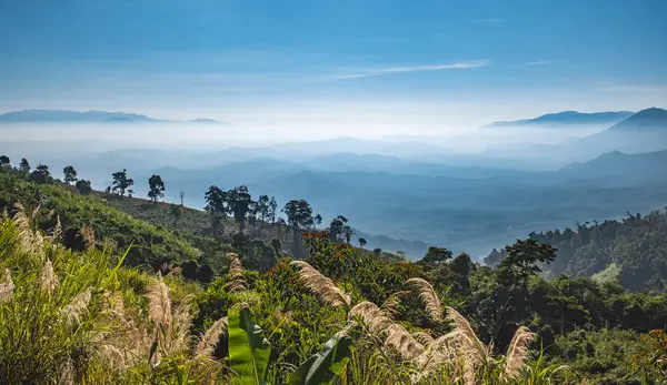 Dağ çayırı. Vietnam Asya 'da tropik yağmur ormanları ve dağlar. Blue Ridge Dağları Smoky Mountain Ulusal Parkı. Sabah manzarası katmanlı tepeler ve vadiler. Seyahat fotoğrafı.
