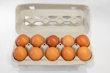 Beyaz arka planda izole edilmiş on kahverengi yumurtalı yumurta kutusu. Karton pakette taze organik tavuk yumurtası ya da yumurta kabı. Tavuk kahverengi yumurtalar. Karton kutularda organik çiğ yumurta.