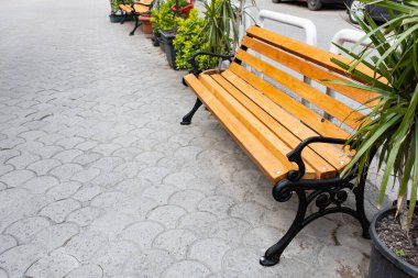 Yaz parkında boş bir bank. Şehir parkındaki ahşap bank. Dinlenme alanı. Hiç kimse, seçici odak, metin için alanı kopyala