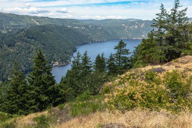 Kanada 'nın güzel manzarası. Kanada 'nın Vancouver Adası' ndaki Malat Zirvesi 'nden Saanich körfezi. BC parkları. Yağmur ormanlarının ekosistemi, orman dağları. Doğal manzara yeşil çam ormanı.