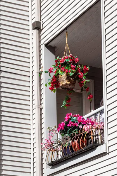 Bir sürü saksı bitkisi olan sıcak bir yaz balkonu. Çiçekli balkon. Balkon penceresinde güzel pembe ve kırmızı çiçekler açıyor. Apartmanın balkonunda bahçe işleri.