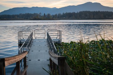British Columbia 'daki Quamichan Gölü İl Parkı' nda yüzen bir rıhtım. Uçan testere ya da gölde yüzen plastik duba yolu. Yüzen iskele. Plastik Pontoon köprüsü. Güzel Kanada manzarası
