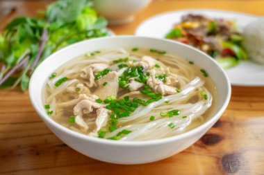 Tavuklu baharatlı şehriye çorbası. Erişte çorbası kasesi. Erişteli Pho çorbası ve tavuk eti, taze sebzeler, bir tabakta, Vietnam mutfağı, ev yapımı yemekler, masada. Asya Erişte Çorbası