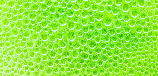 Yeşil arka planda soyut su damlacıkları. Sıvı baloncuk, molekül, su sıçrama arkaplanı. Makro su kabarcıkları köpürüyor..