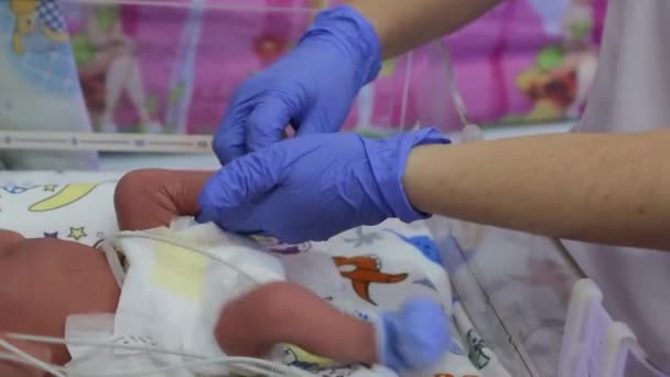 Departamento Cuidados Post Intensivos Para Recién Nacidos Lactancia Bebés Prematuros — Vídeos de Stock