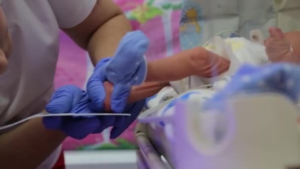 Unidad Perinatal Incubadora Para Recién Nacidos Bebés Prematuros Reanimación Centro — Vídeos de Stock