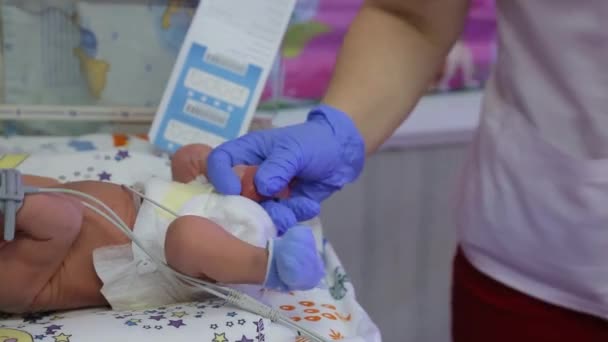 Kharkiv Ukraine Août 2022 Unité Périnatale Incubateur Pour Nouveau Nés — Video