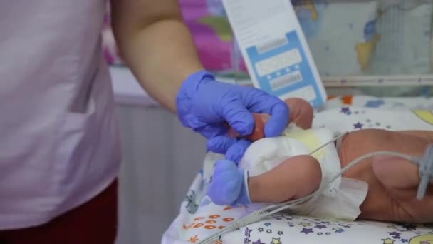 Unité Périnatale Incubateur Pour Nouveau Nés Bébés Prématurés Réanimation Dans — Video