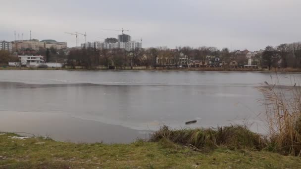 Vinterfloden Staden Fryst Flod Vinterfrusen Flod Som Rinner Genom Staden — Stockvideo